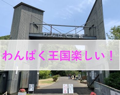 レビュー わんぱく王国 大阪府阪南市 はタダで遊べて子供も超喜ぶから行くべき マイホーム塾